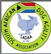 dancing with dogs in cape town, dog dancing, heelwork to music, canine freestyle, dogs